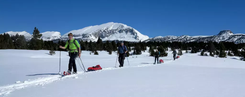 media-libraryul8ptpsk30ie3HtjbFC