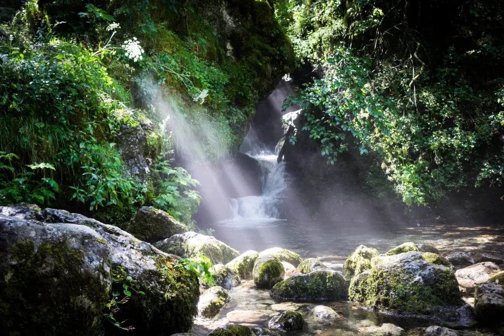 media-library70hmbe8aiba54a9UOSC