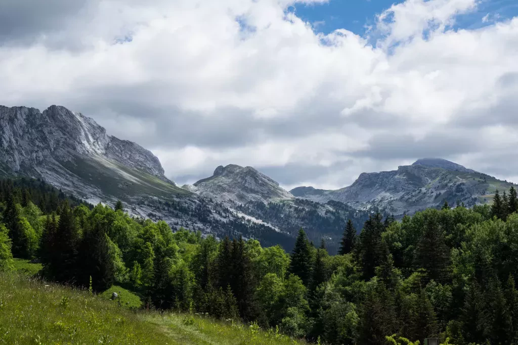 media-library7fnsg6vslmnl0e7wL3y