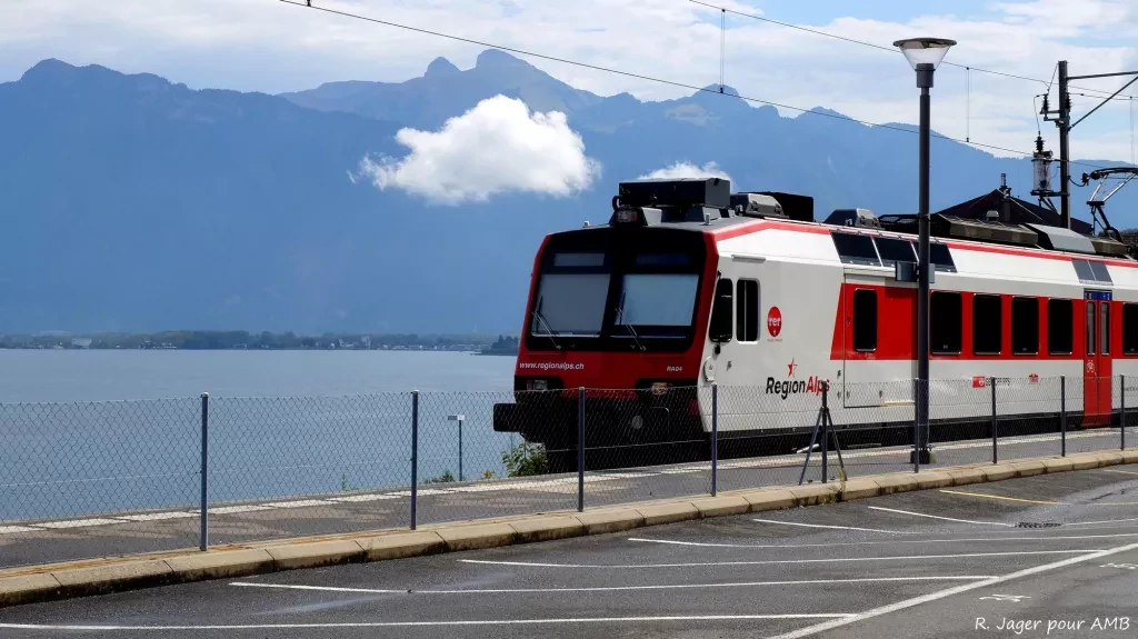 media-library2fj0q8sr2p6b7mFk2Zz