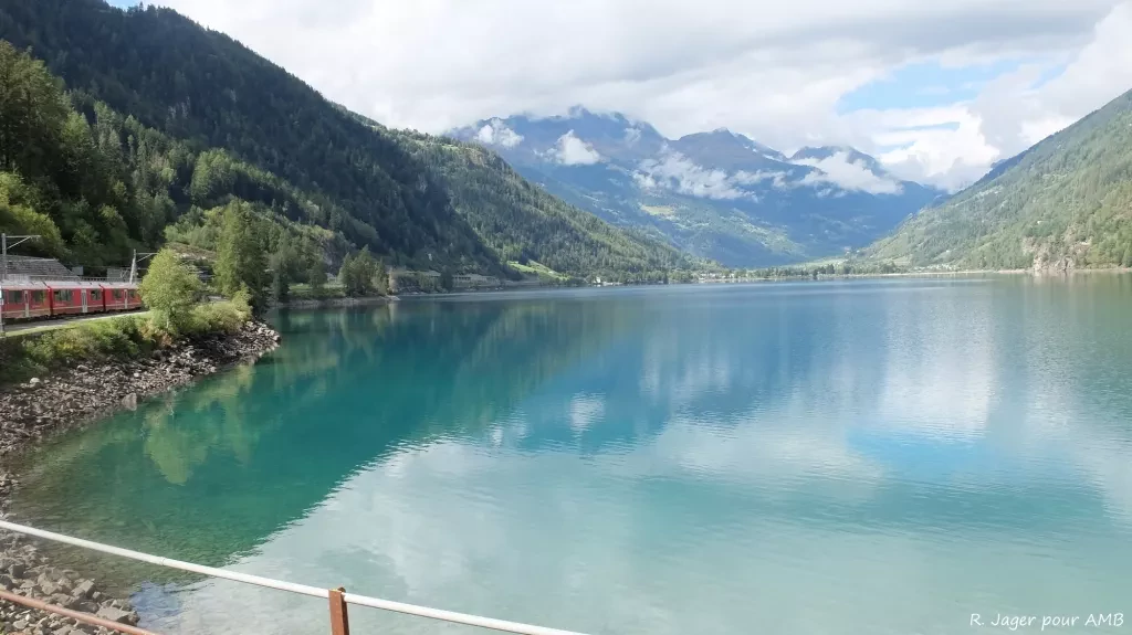 media-libraryflhfls04a2a0aTLViLy