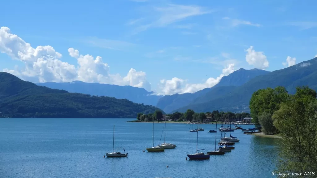 media-libraryp4ipph2k3qfddWiCDUA