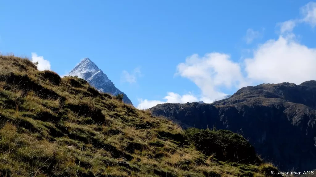 media-libraryvfvs3ounccqg5KHSROB