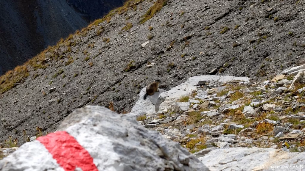 media-libraryr794lp7rplsi2Zva5WA