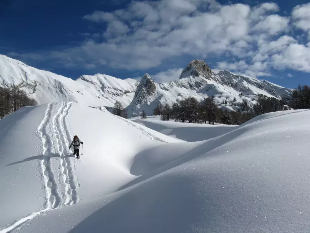 media-libraryblinc1f7j9i4fG6InWz