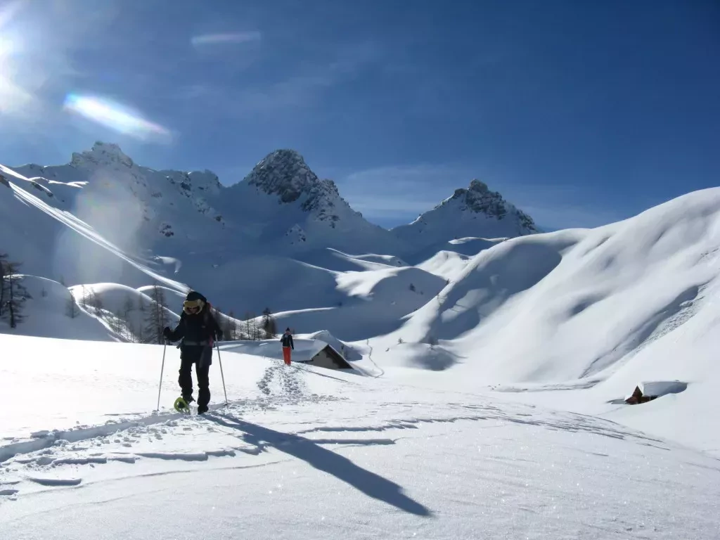 media-libraryud2qedh1onlh6qJ985A