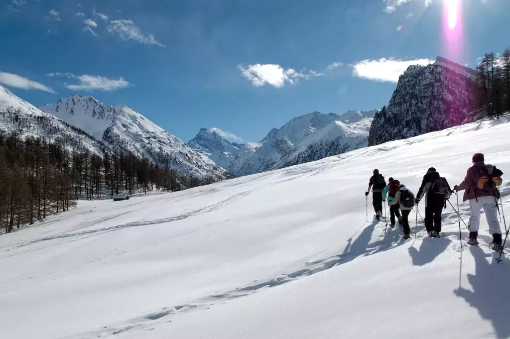 media-libraryp8m8h2r1pba8fSrMuzA