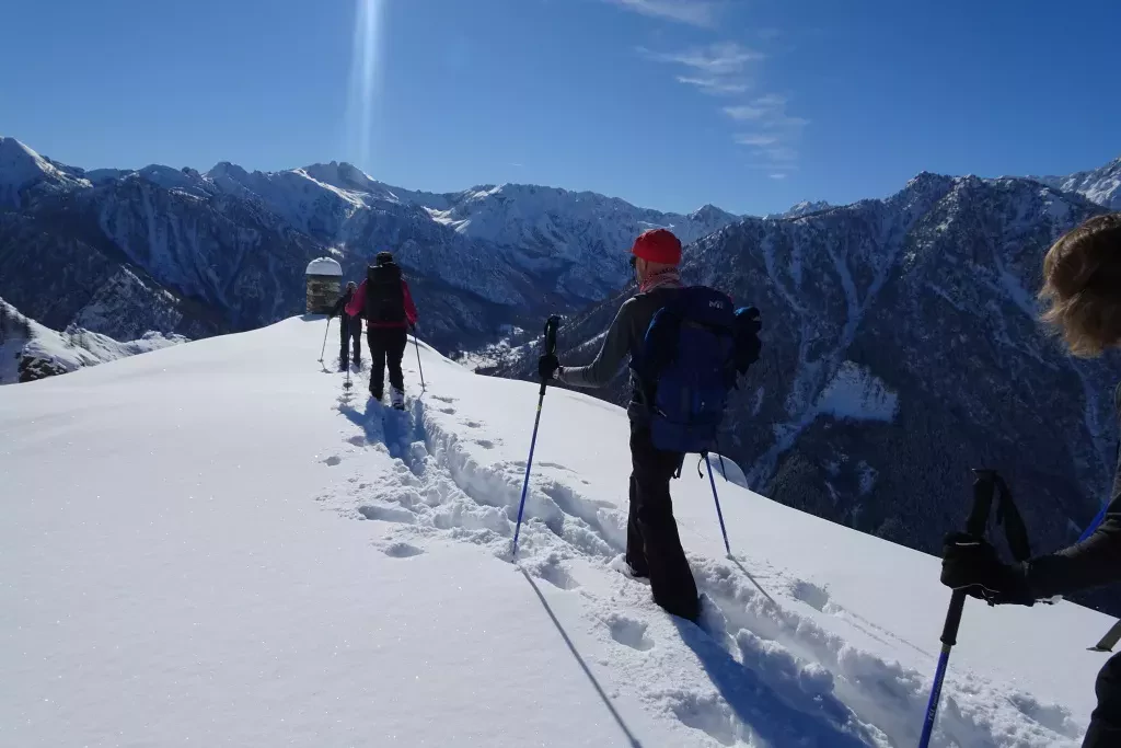 media-librarygif1adv23np9422TDVB