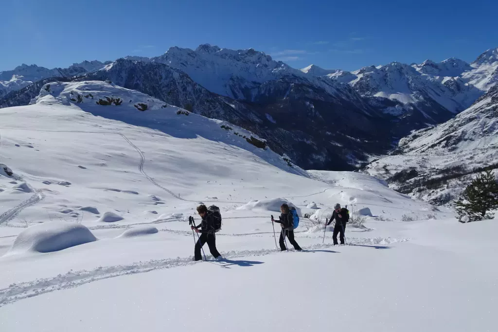 media-library3k4arnnqcgbr8PNLvbB