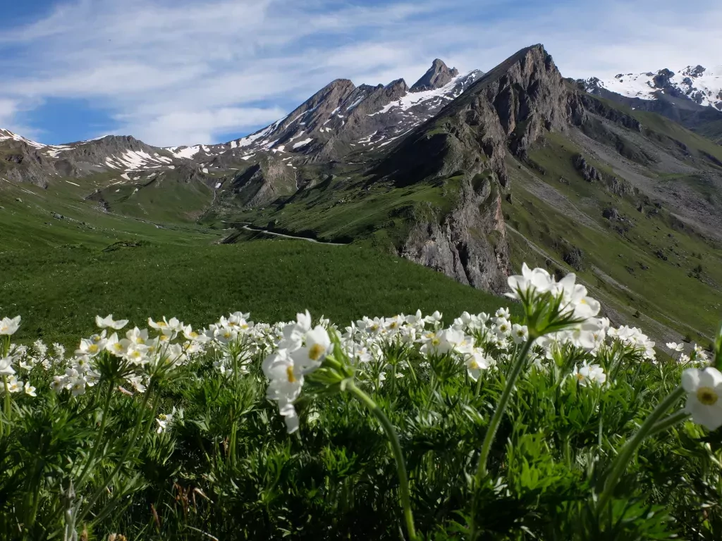 media-library30dtmnoosm2e5hp1B3A