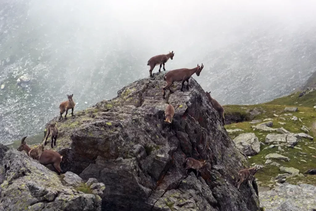 media-libraryjj412l79utmr0hZ6inC