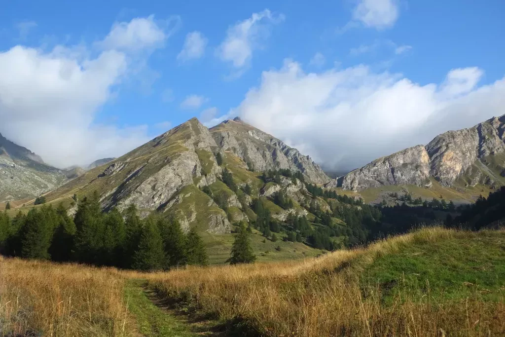 media-libraryrc8utopj6oc52uhnvHy