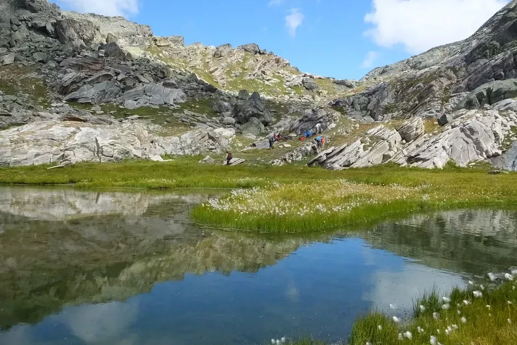 media-library3qc8fao384cpdrTjaJy