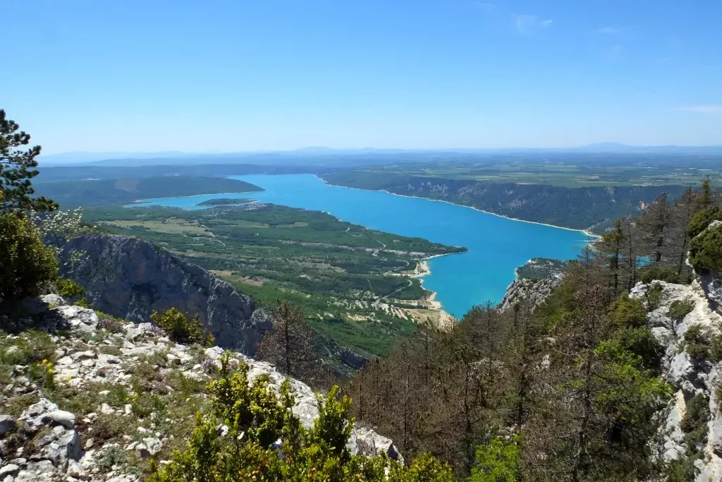 media-libraryanvg221e8eevbkZTvVA