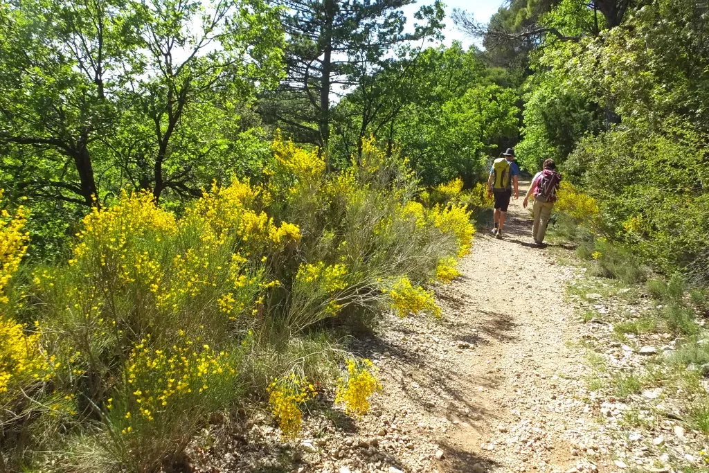 media-libraryrk4co26f56eadgLqVlC