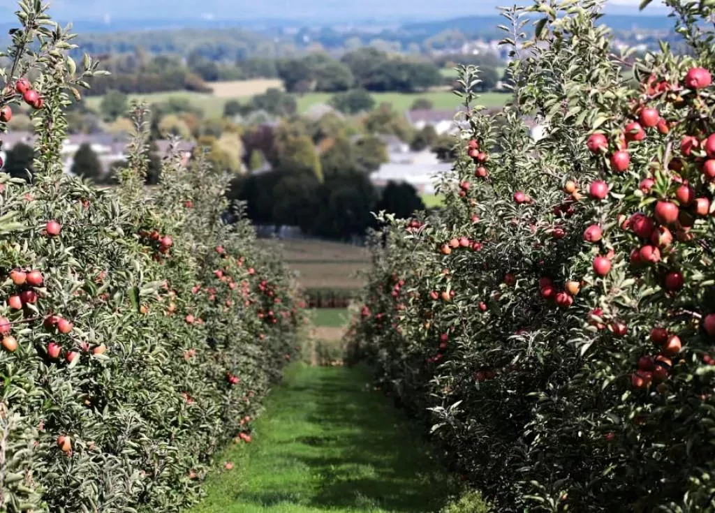 media-libraryc6l81a9m878v3RwbHEy