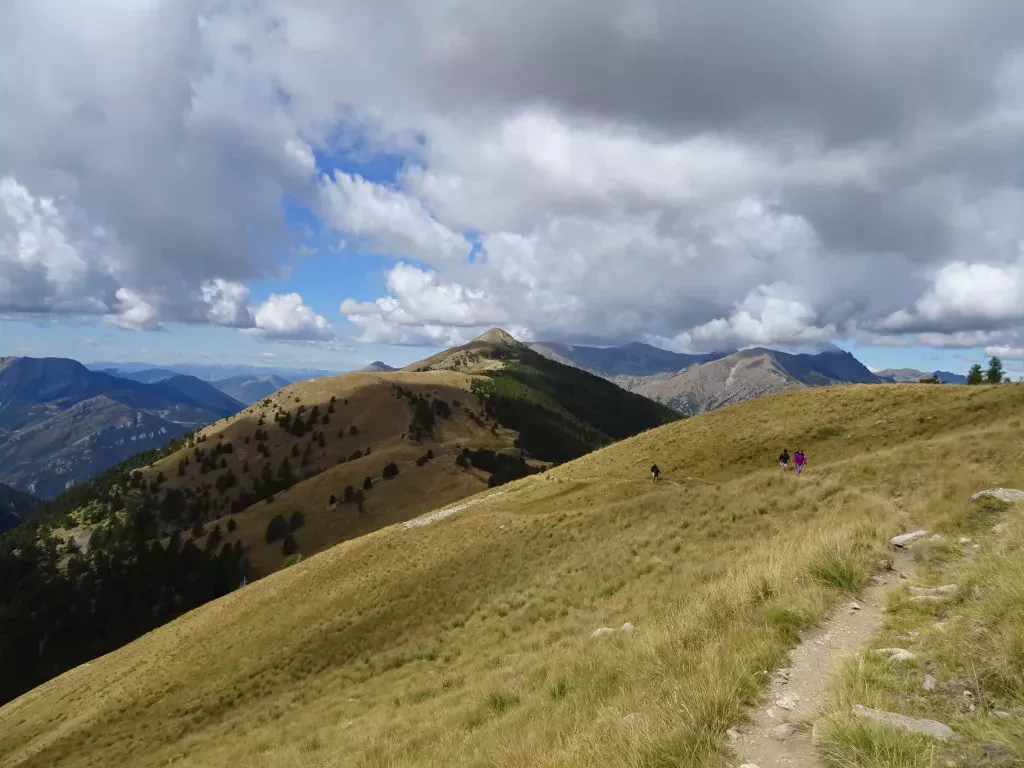 media-libraryvb0i1qq50c695xjXt1z