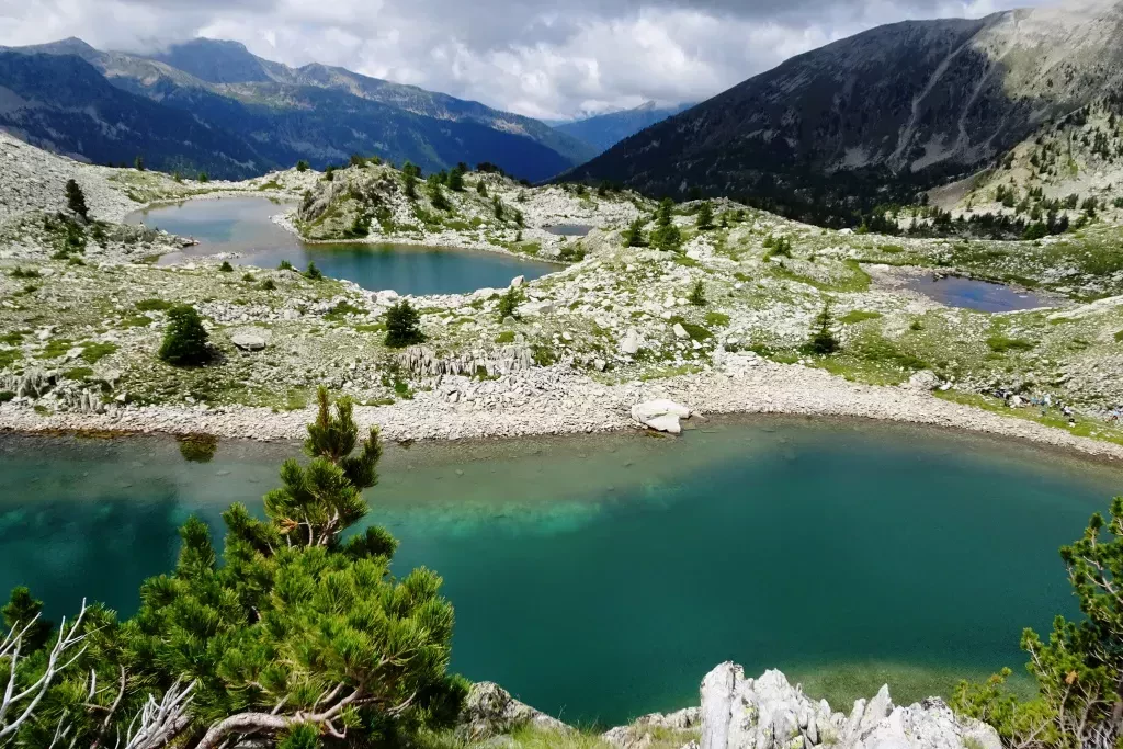 media-libraryvce1n5lutgi13PVJqcB