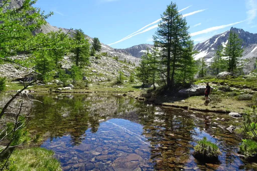 media-library01ckso3d6btt8PMwHsA