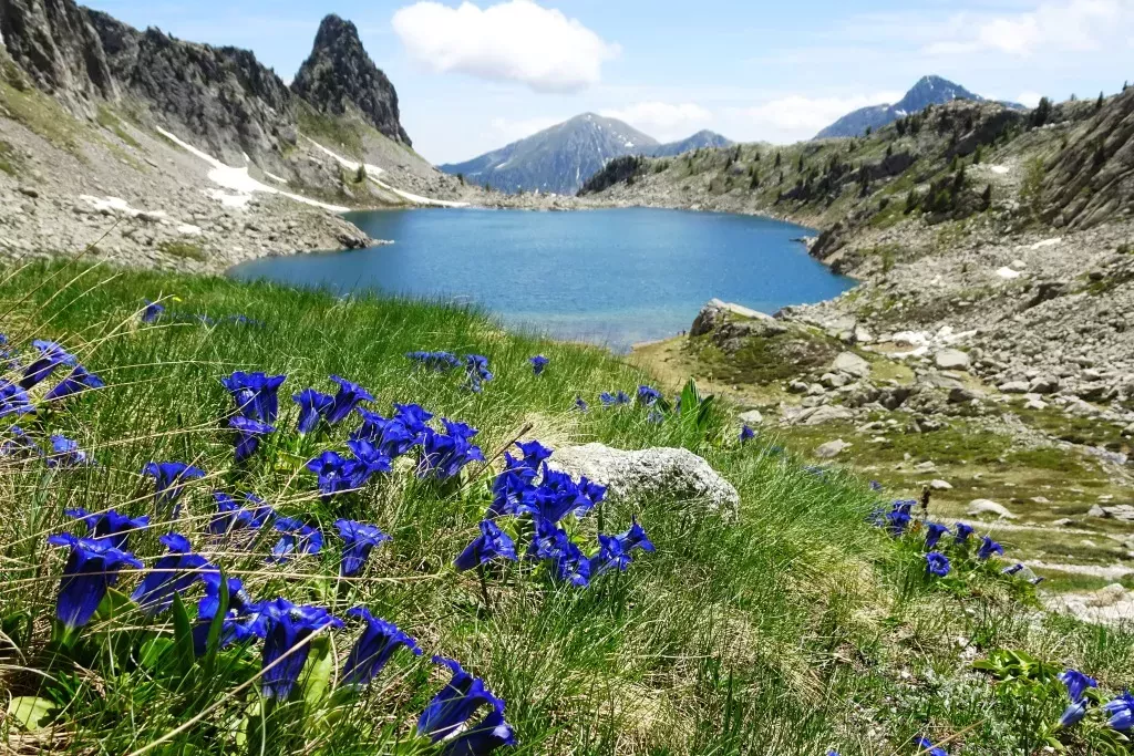 media-librarynok5gamtejpj69xJ8XC