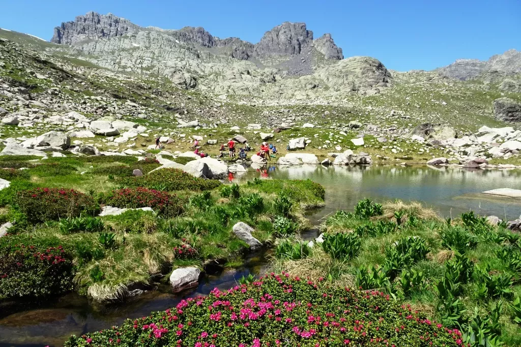 media-library94c7qln7svq27GIo6TC