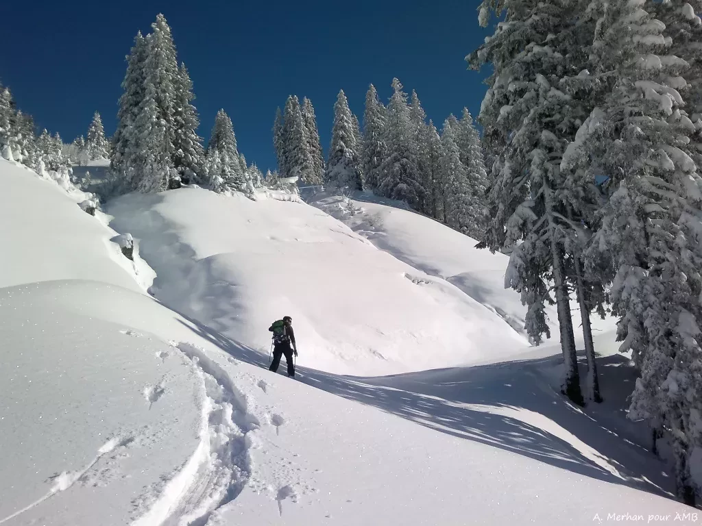 media-library4d1mscub2mmj1bBoh4B