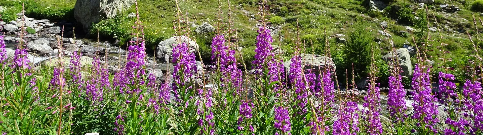 LAKES AND REFUGES OF MERCANTOUR self-guided