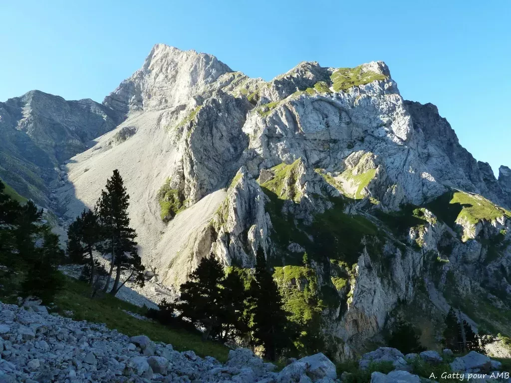 media-librarydqee2431ctgrfeOWUrB