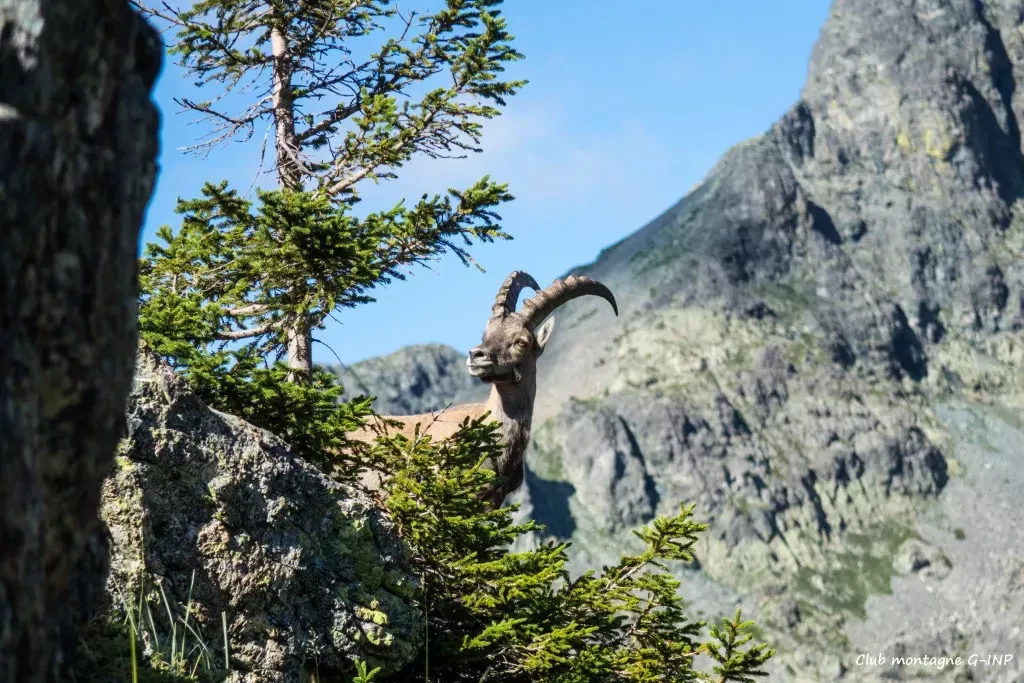 media-libraryd4419h7k6pvraU259Ey