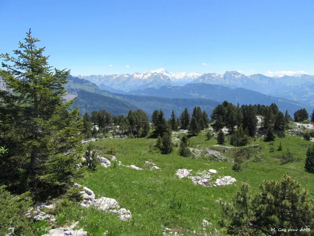 media-library7k5qj7an7ein8xROk2y