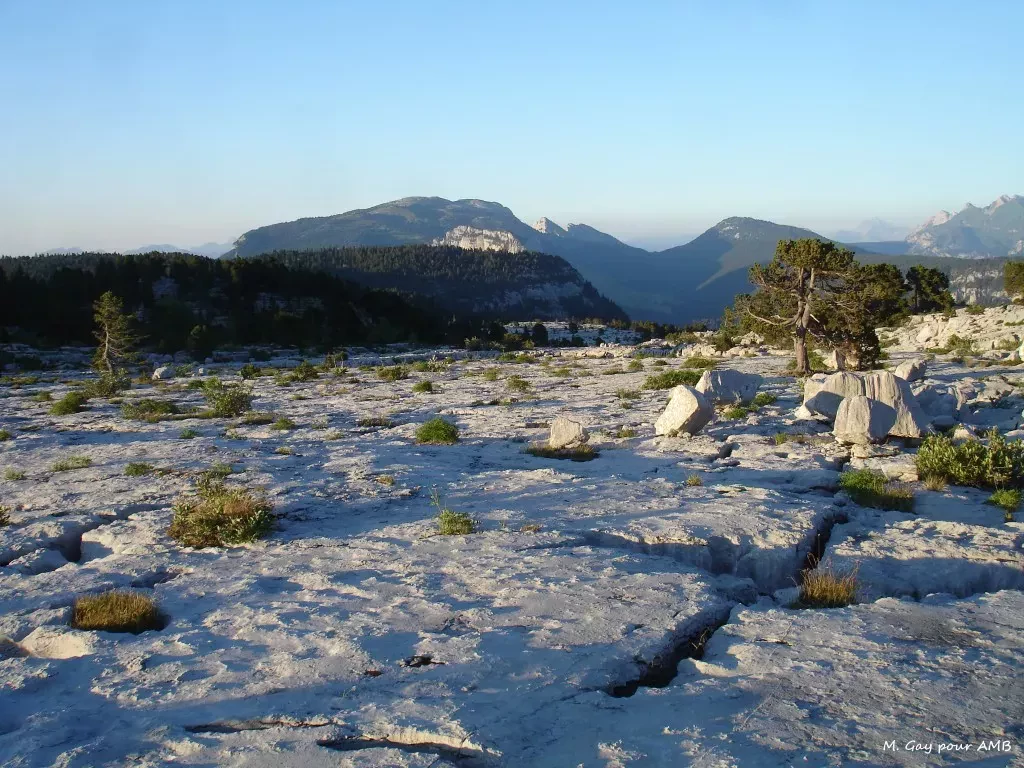 media-library9m31bjs5v6mb6krFAtz