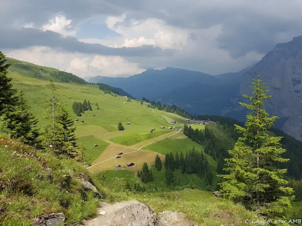 media-libraryj0i2f7ro22kq11G9mHB