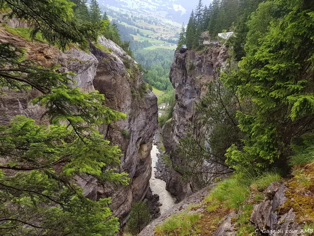 media-librarygjik5icrpvtv7RgtsJy