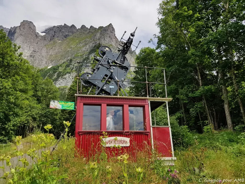 media-libraryjtfekc6308nealHQNqy