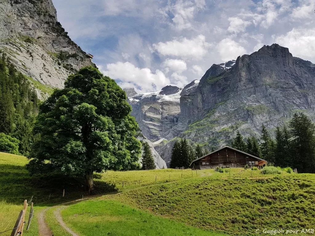 media-librarygbb7g6rl07i56ItKhtC