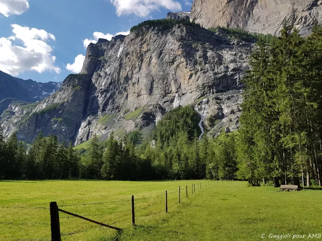 media-library2ntmc7lga0cl4RRkPIC