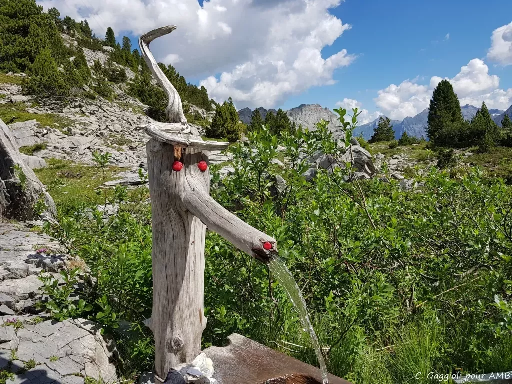 media-librarypro6ncoccecucjZ0DPB