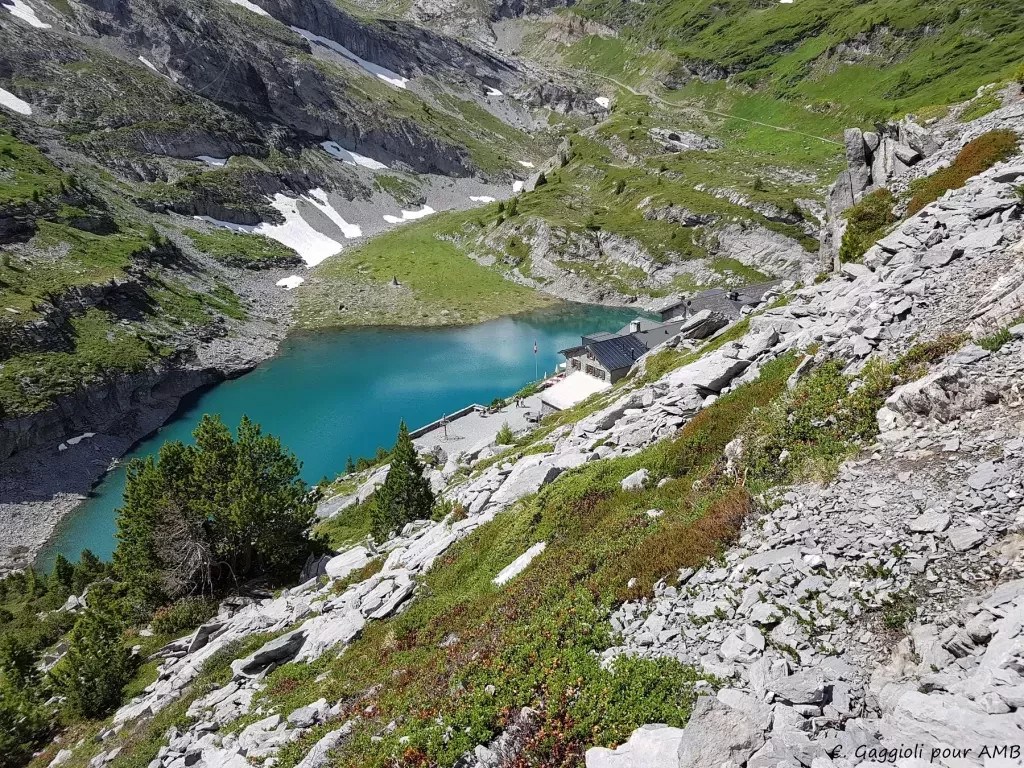 media-librarypp2fj61h6puf0e3vNjC