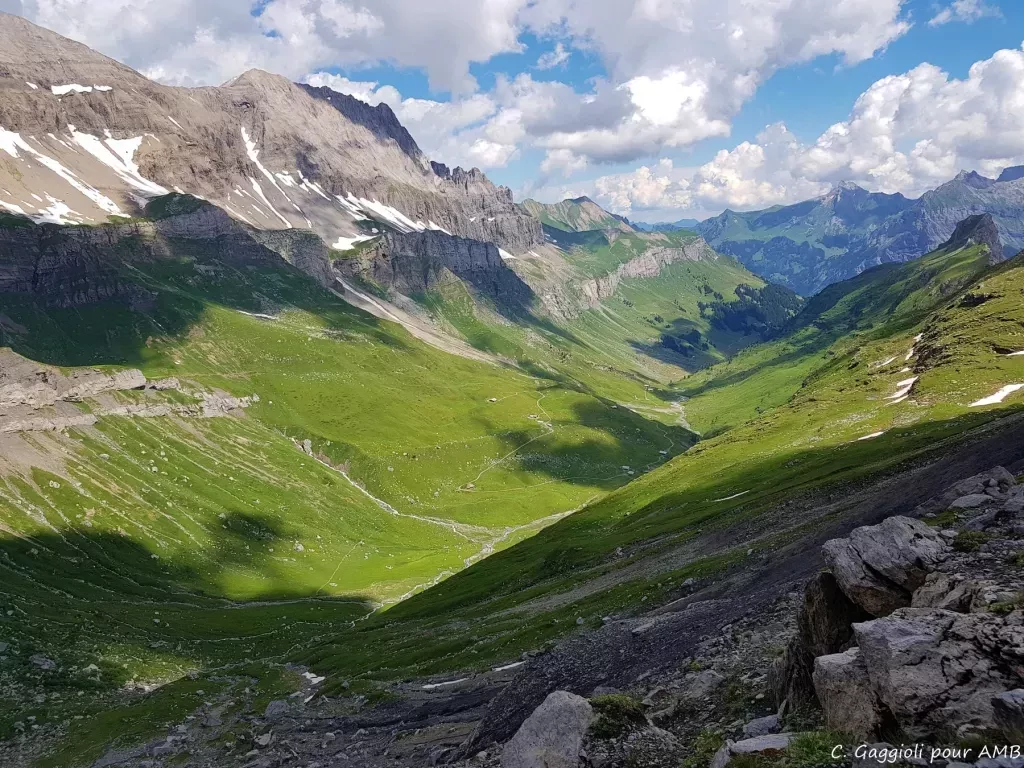 media-librarygb0ag3882c9i3ZA529B