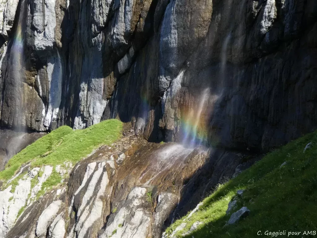 media-libraryicbo2n3ii5cl4ZKqejz