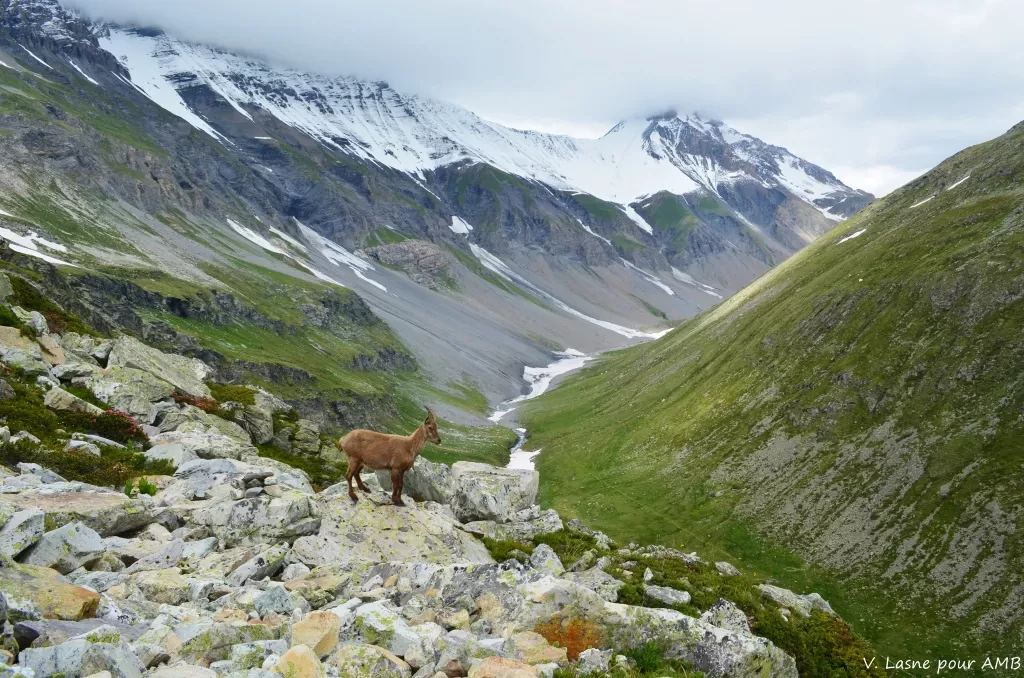 media-library902pp18r20e41mSJcRA