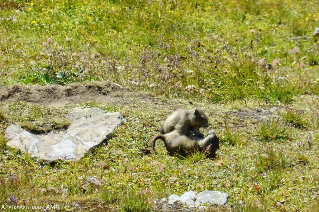 media-library8720p3lkg8qm3kmwqHy