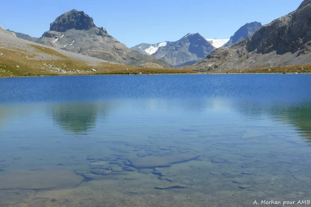 media-libraryesl3ob90rfsj06UyRzz