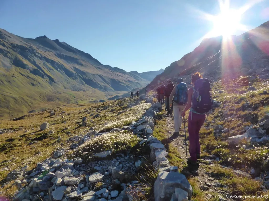 media-librarybv81tihgi2h94BccSNB