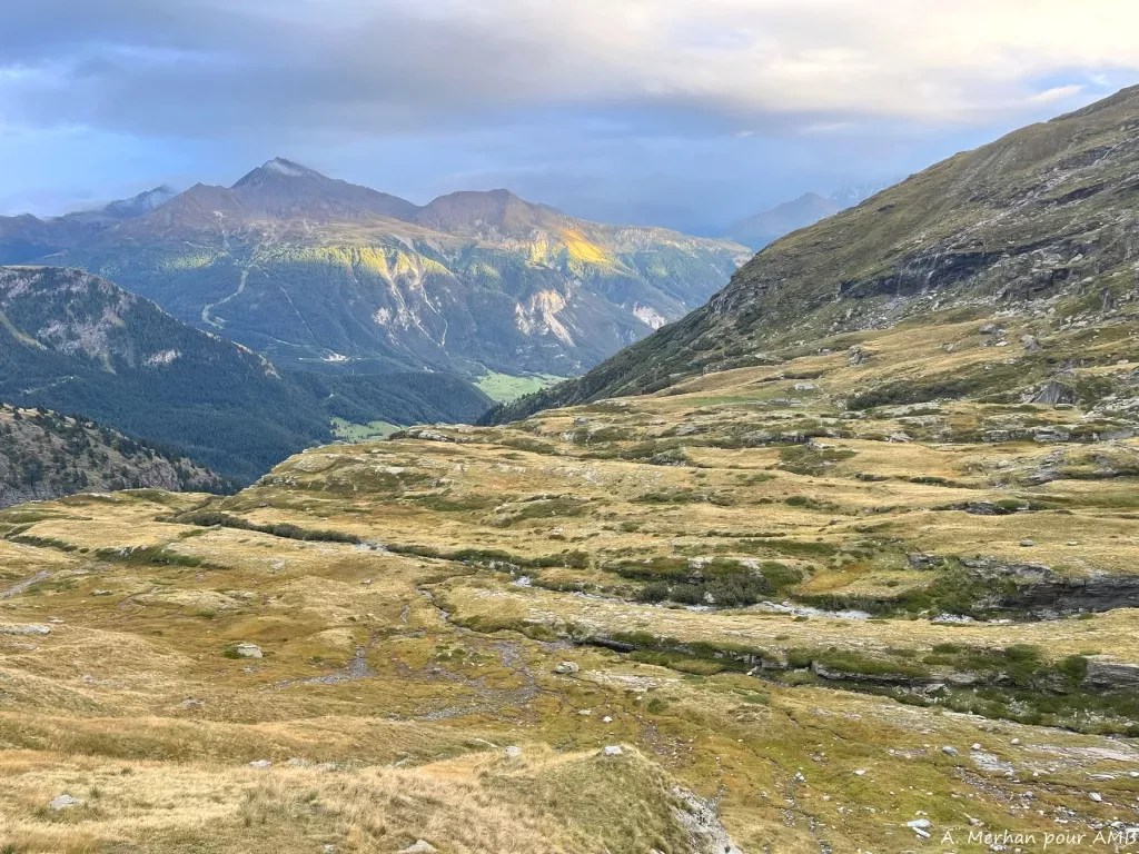 media-library5rfor5a6kdhkbPb25Sy