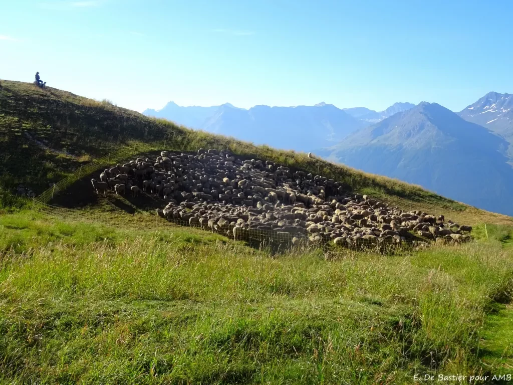 media-libraryv788sv7cmipr9MHpaqy