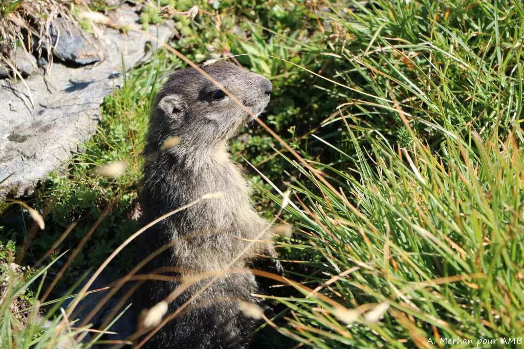 media-librarytp9mld9eq41l6GUZnoC