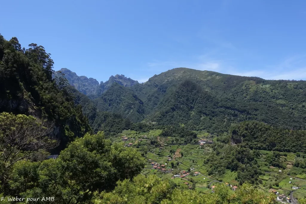 media-library6e606294sj1h5w5OENy