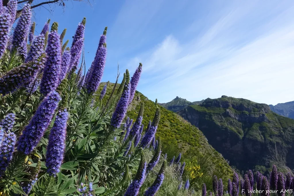 media-library3fcdnl8a18rkfPn1YPA