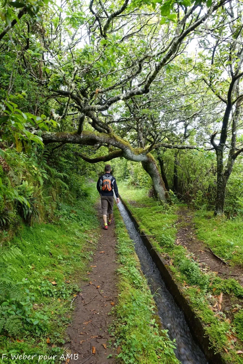 media-libraryu4qeeqcis8aq7eI7IHA